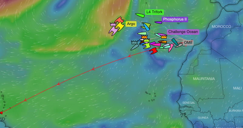 RORC Transatlantic