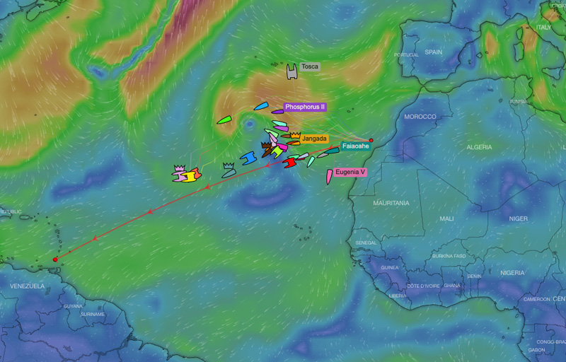 RORC Transatlantic