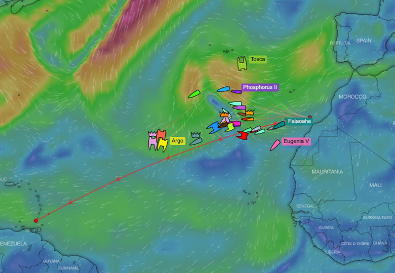 RORC Transatlantic