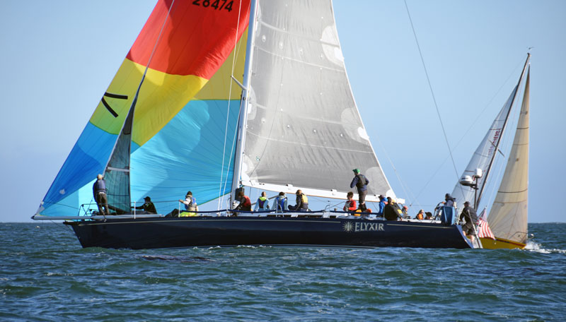 Elyxir with spinnaker