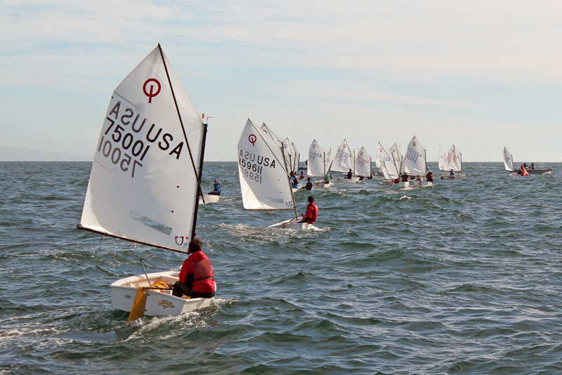 Opti racing