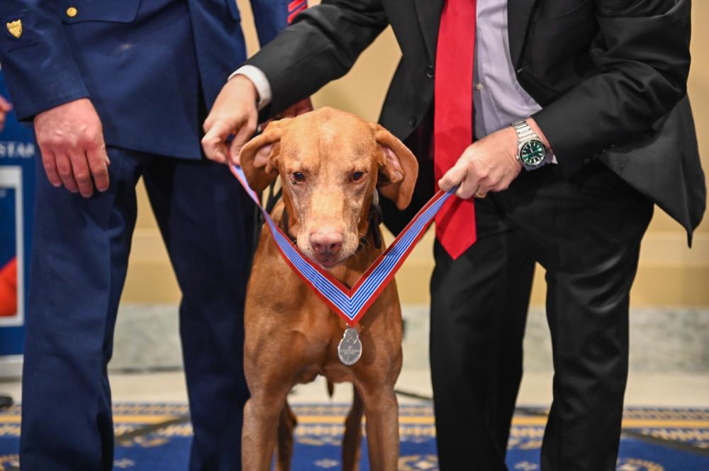 K-9 Awarded