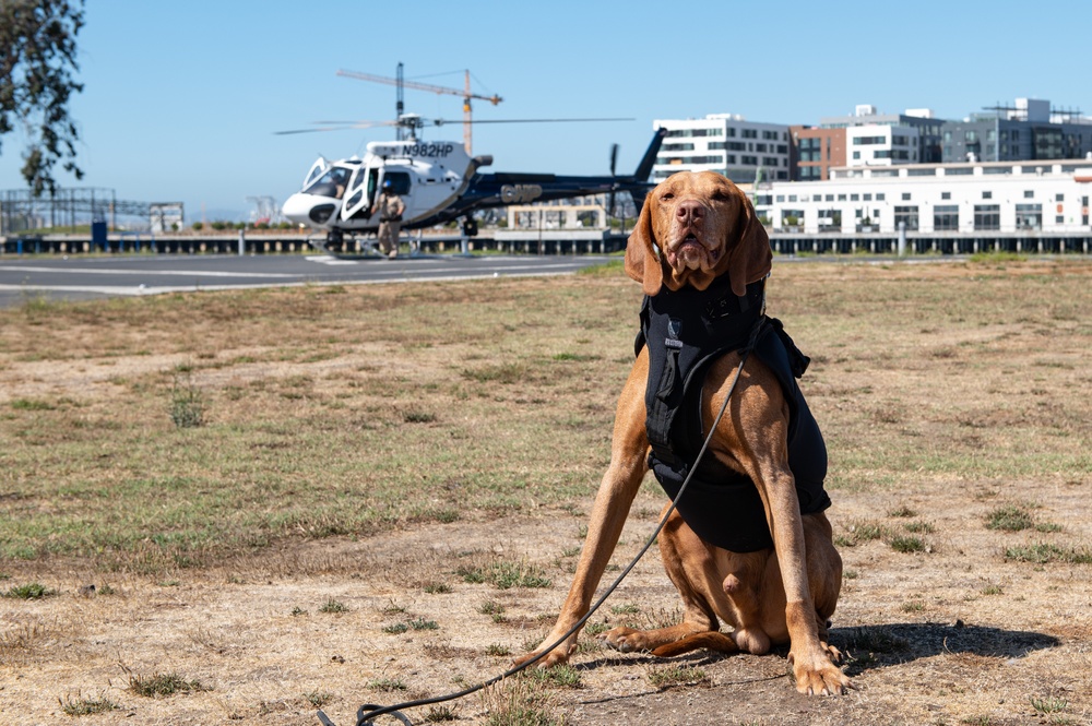 Feco, USCG K-9