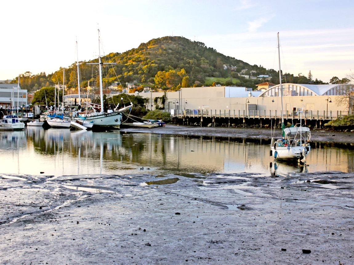 San Rafael Channel at low tide