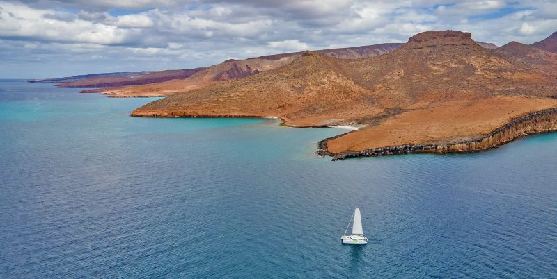 'Balam' in Sea of Cortez