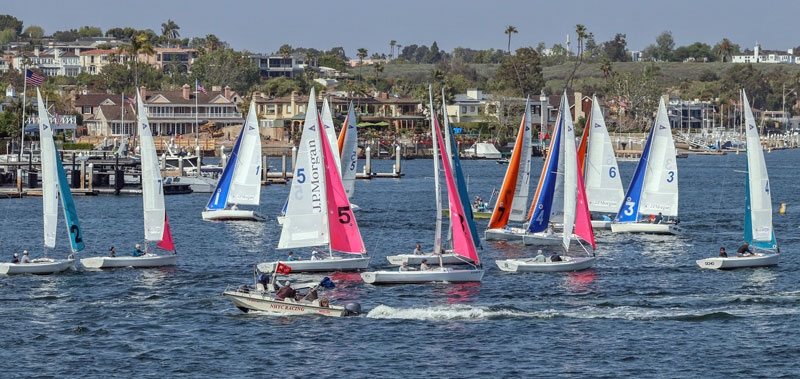 Harbor 20s in Newport Harbor