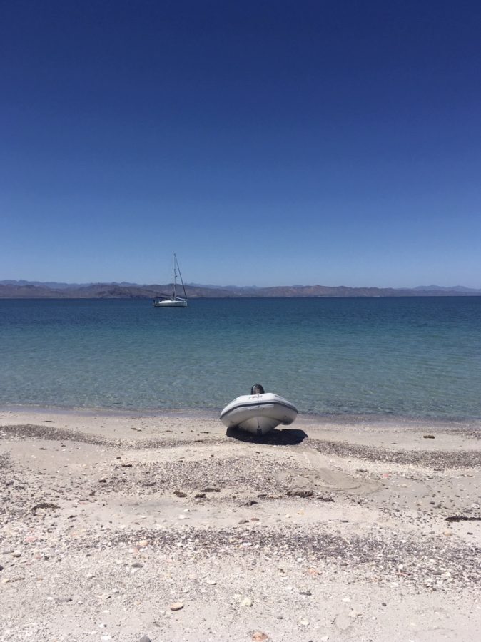 S/V Freedom Kirkland