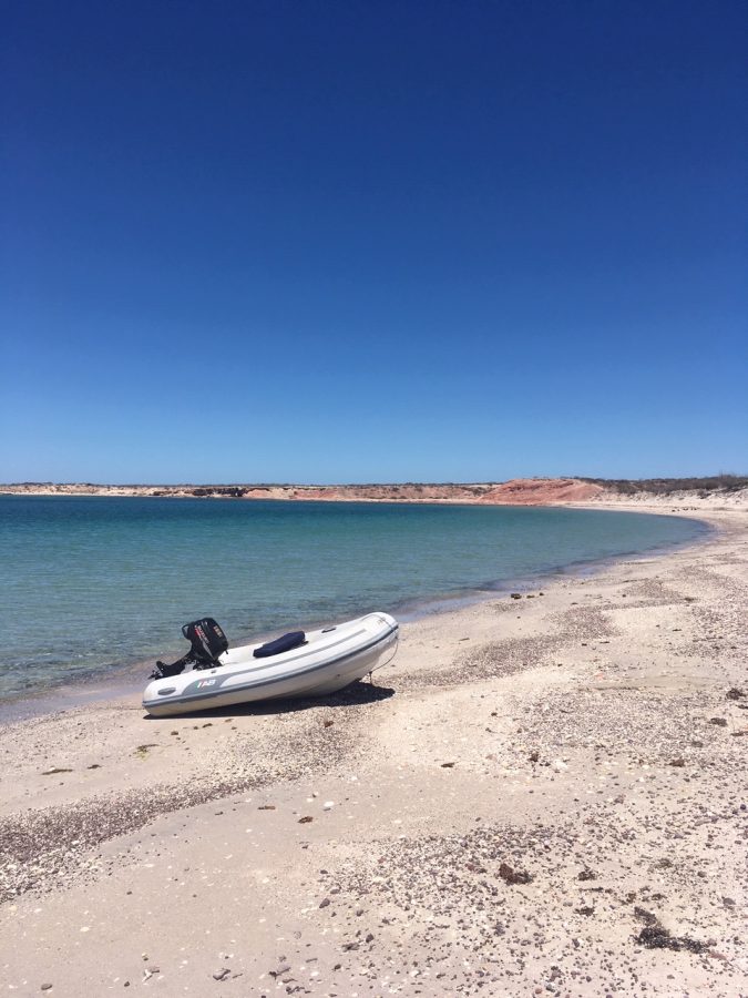 S/V Freedom in Baja