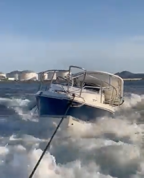 Whale damaged boat