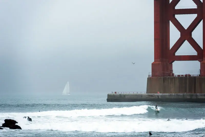 Ferox Romps In The Bluewater Bash