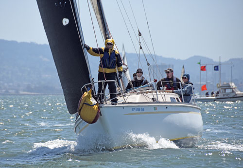 Zeehond at start of Great Vallejo Race