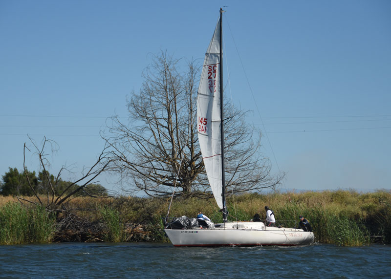 Medusa aground