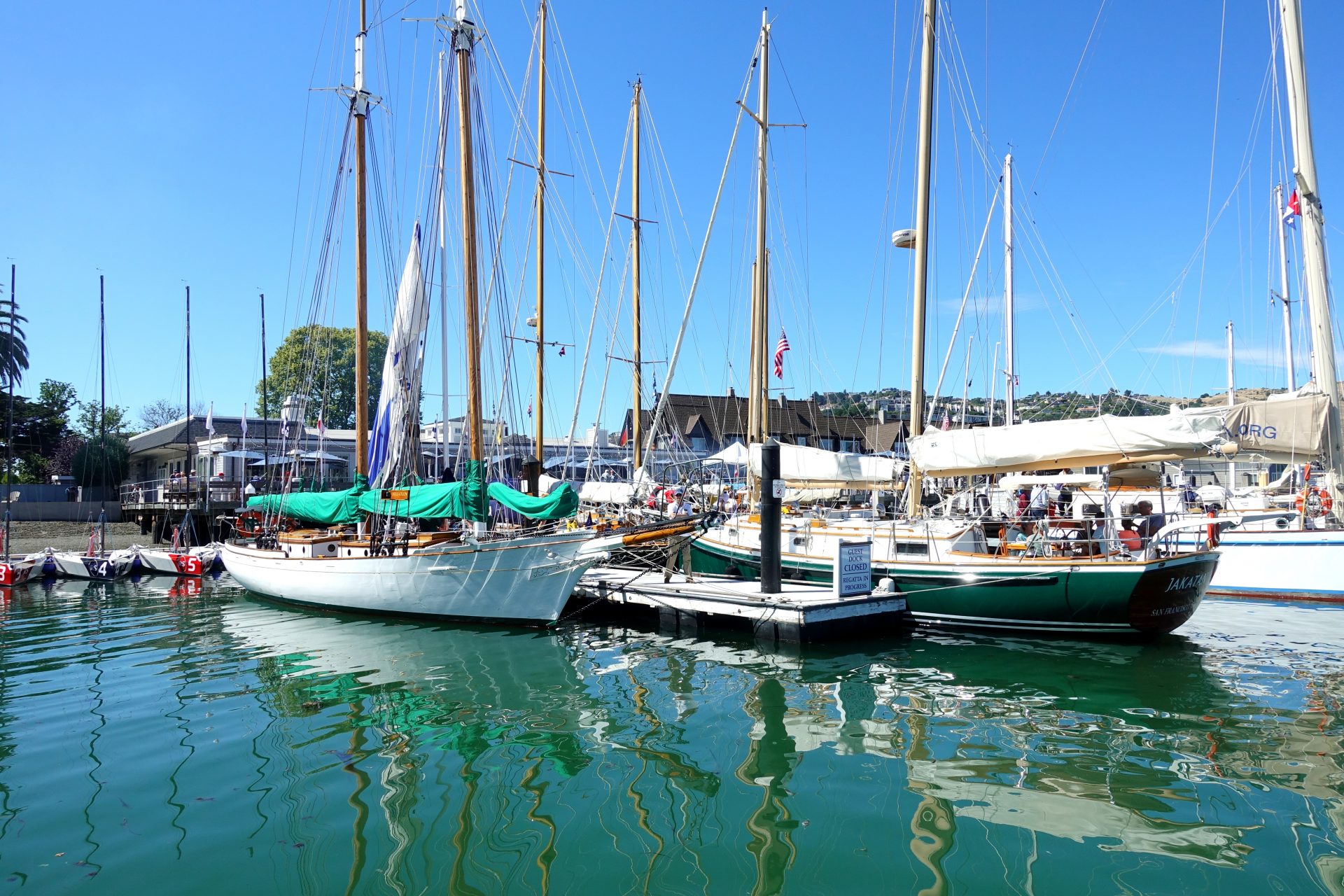 Belvedere Classic Yacht Regatta Attracts 'Eye Candy' Fleet