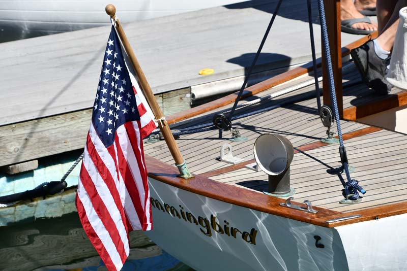 The Bird boat Hummingbird