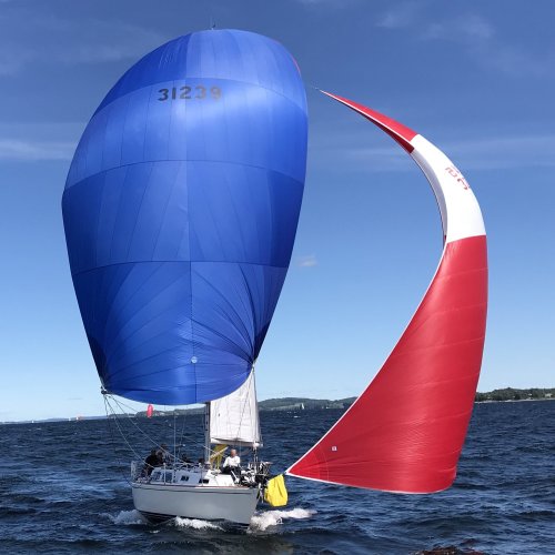 red blooper sail