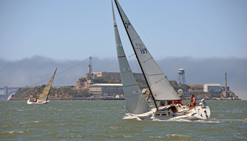 2 Wyliecats and an Olson at Alcatraz