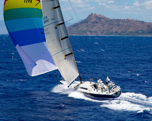 Merlin at Diamond Head