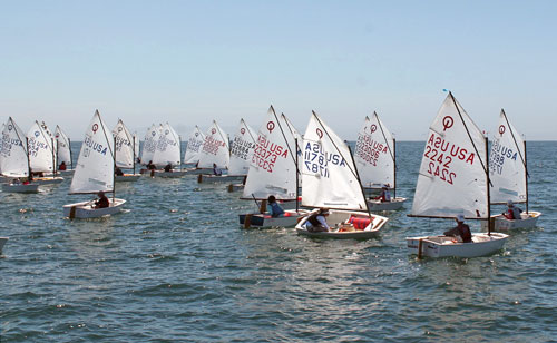 Opti start