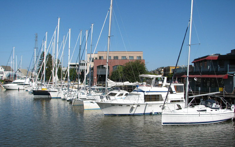 Petaluma River basin