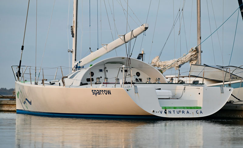 Sparrow at the dock