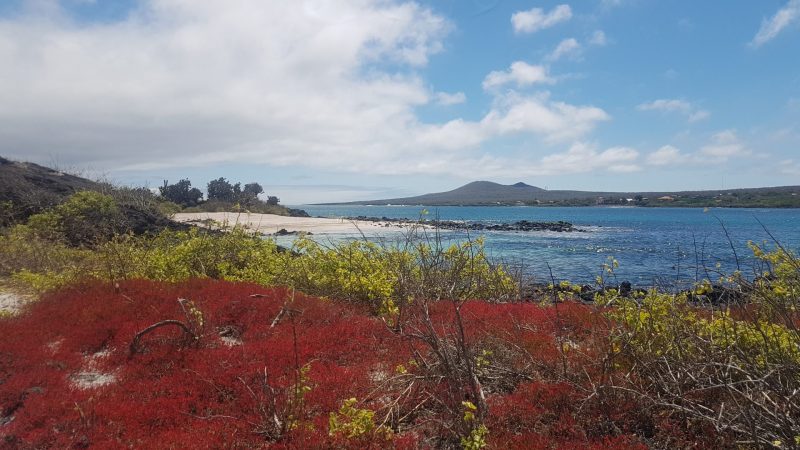 Galápagos island