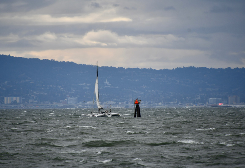 Trimaran in Sausalito