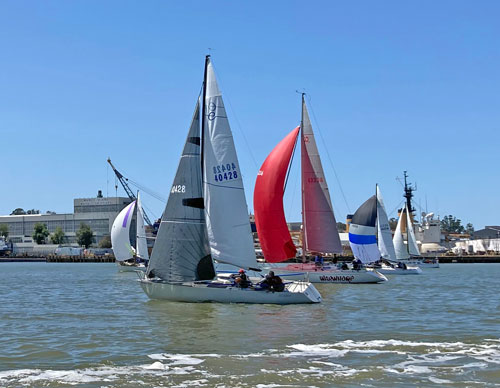 Great Vallejo Race