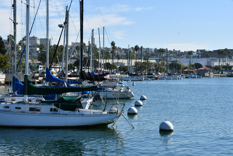 Med Moor in San Diego