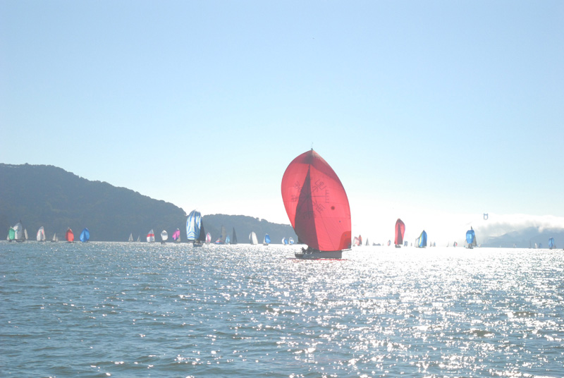 Great Pumpkin Regatta