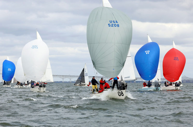 Fleet of J/24s with spinnakers