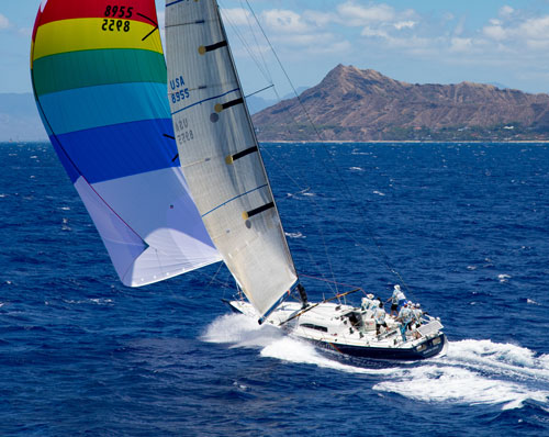 Merlin at Diamond Head