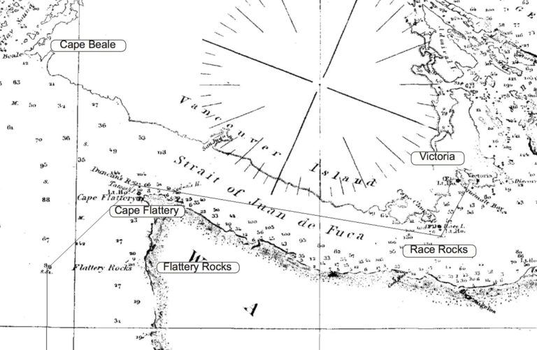 SS Pacific course