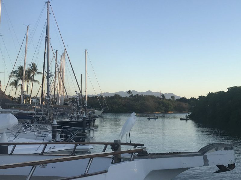 upstream from Vallarta YC marina