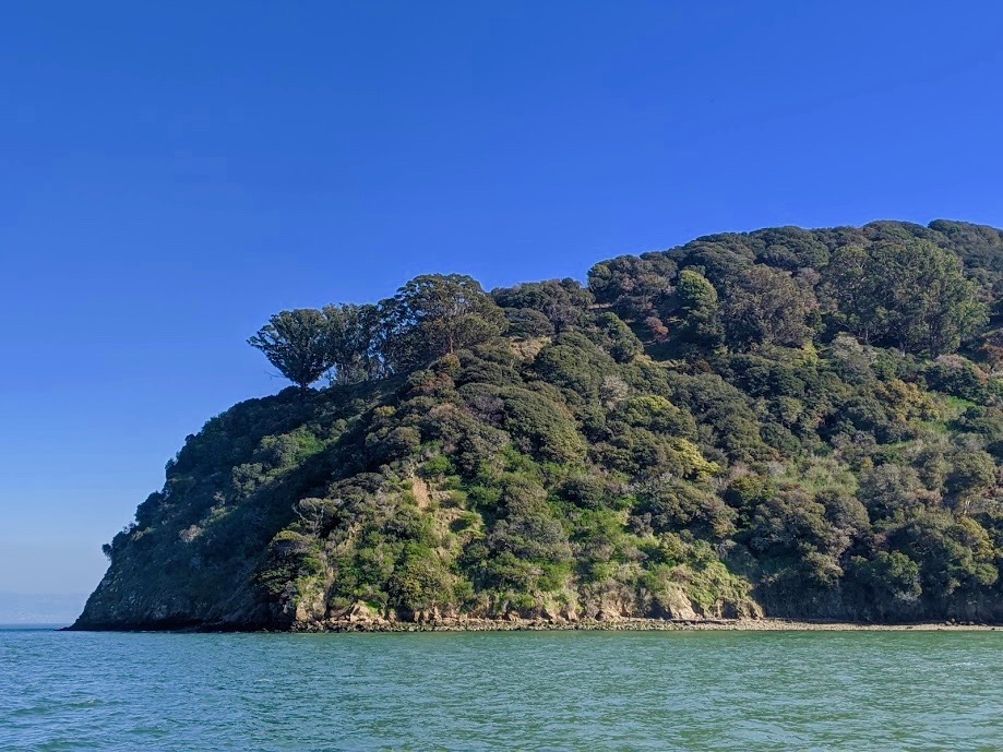 Will Ayala Cove on Angel Island be Dredged?