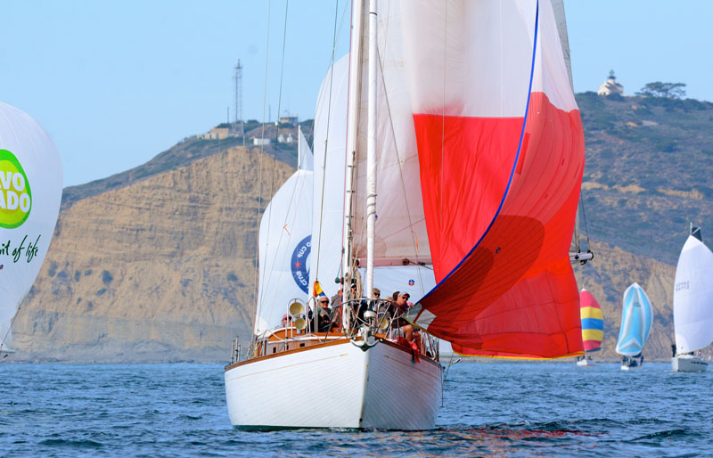 Rendezvous with spinnaker