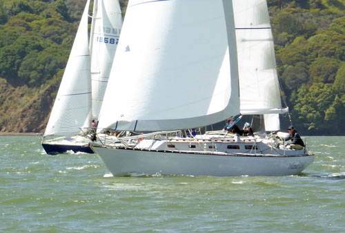 Jaws pursuit race, Sausalito