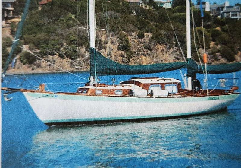 Herreshoff Arua