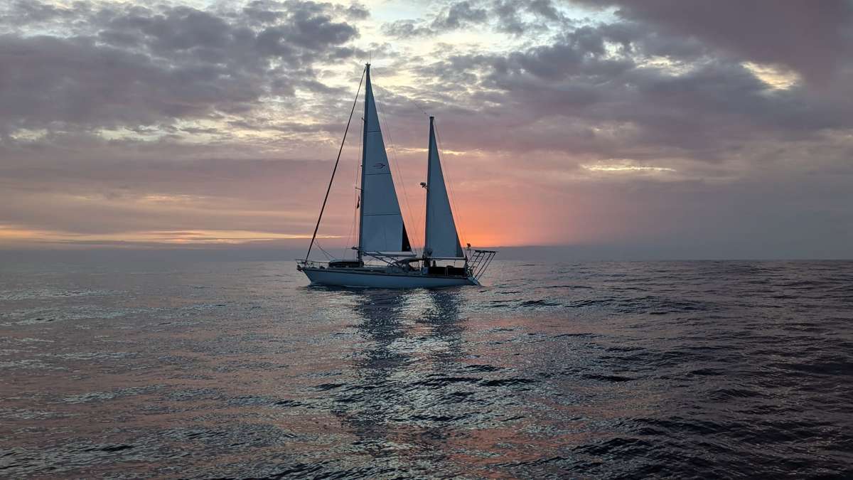 Baja Ha-Ha sailboat