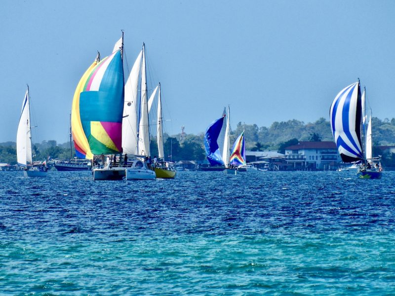 Bocas Regatta 2023 start