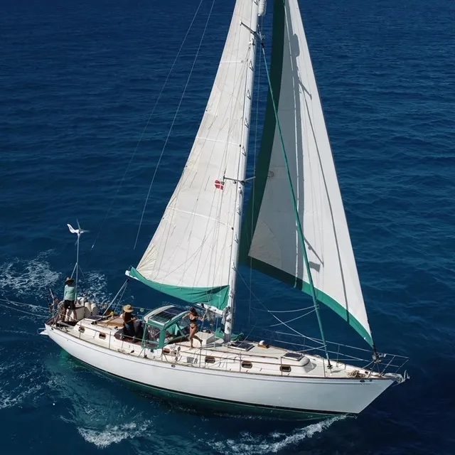 sailboat sinks after hitting whale