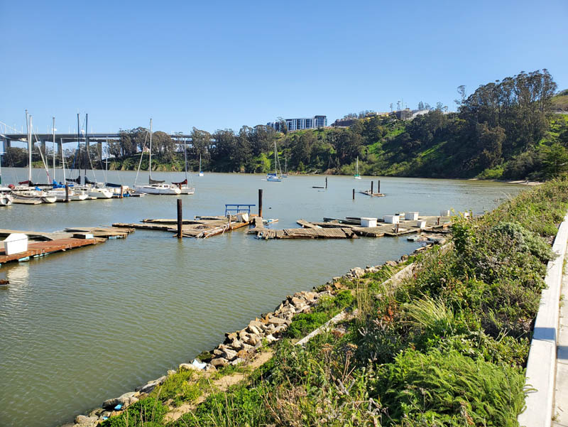 Treasure Island Marina