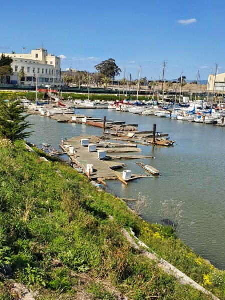 Treasure Island Marina