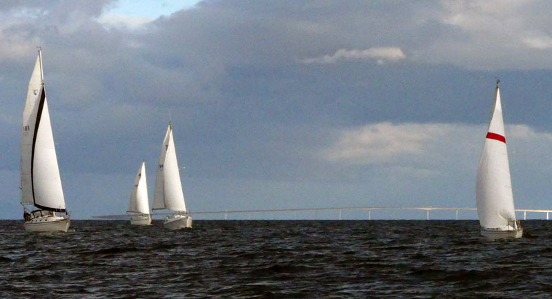 The return leg, with the San Mateo Bridge in the background.