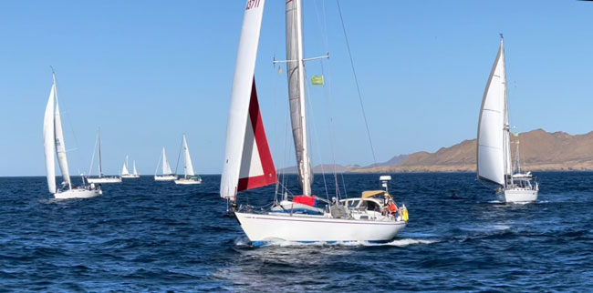 Baja Ha-Ha fleet in Mexico