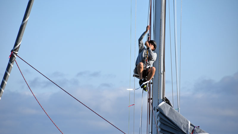 Up the mast of a Cal 40