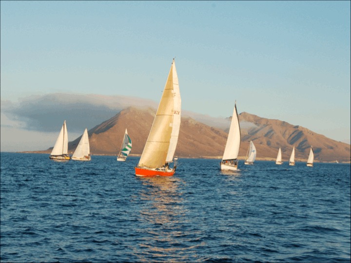Baja Ha-Ha boats in Cabo