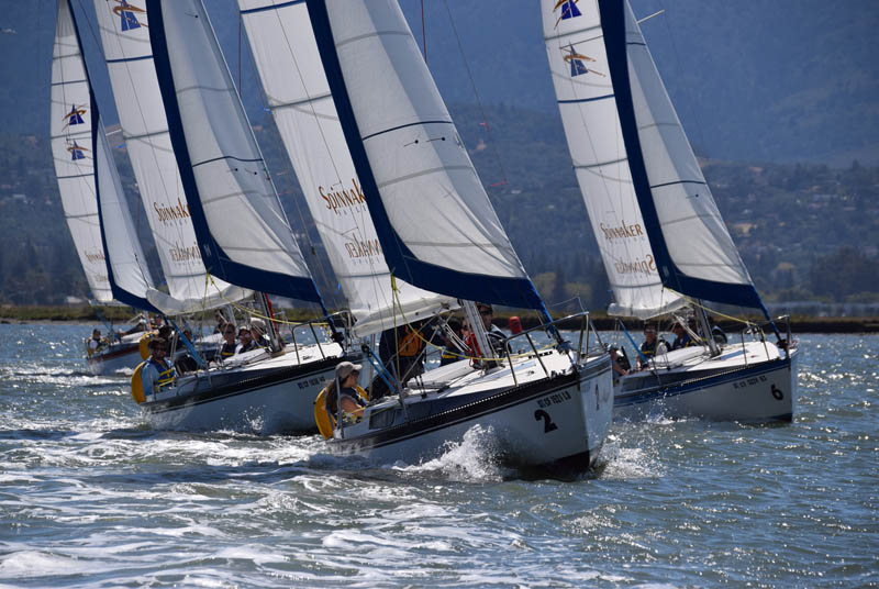 Spinnaker Sailing Redwood City One Design Regatta