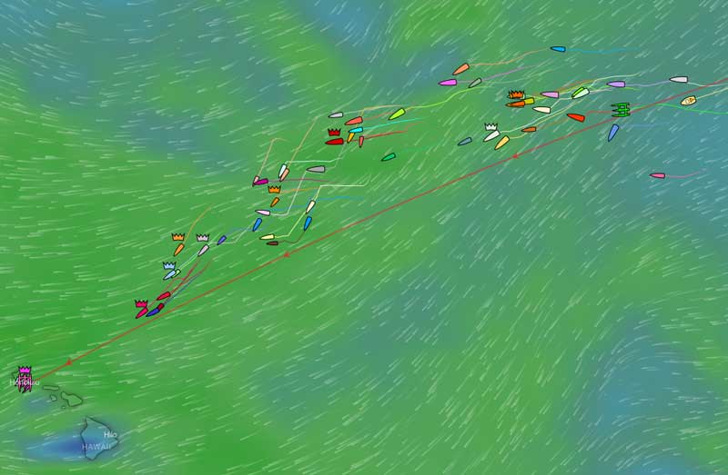 Yellow Brick Transpac