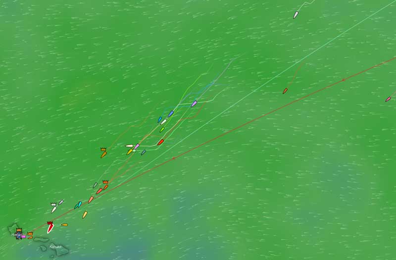 Transpac Finish Yellow Brick