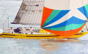 36ft sailboat for sale